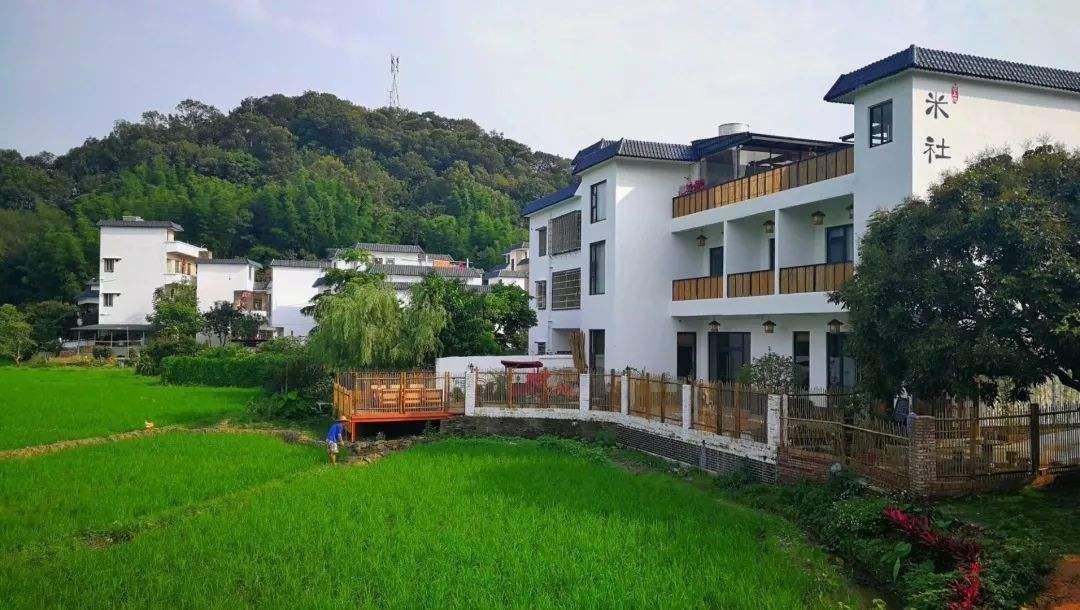 探索超大城市中的乡村振兴之路,广州从化再提速