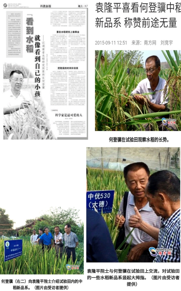 “硒”望发展功能性农业产业梦