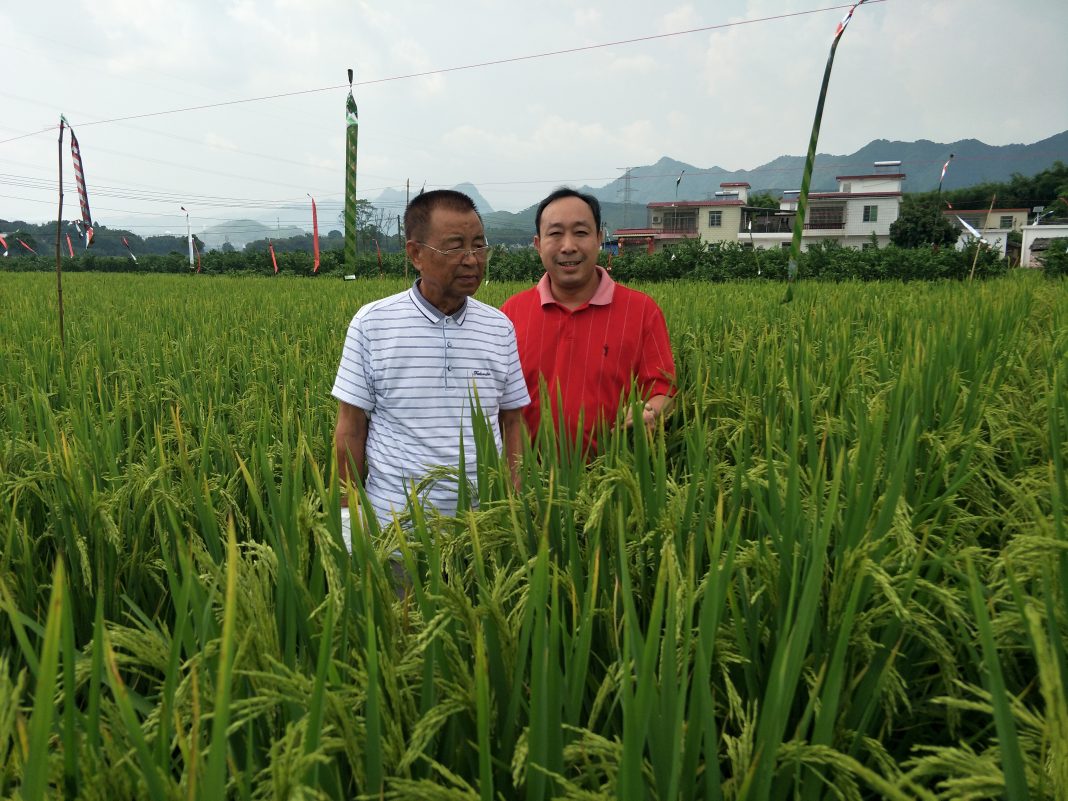 “硒”望发展功能性农业产业梦