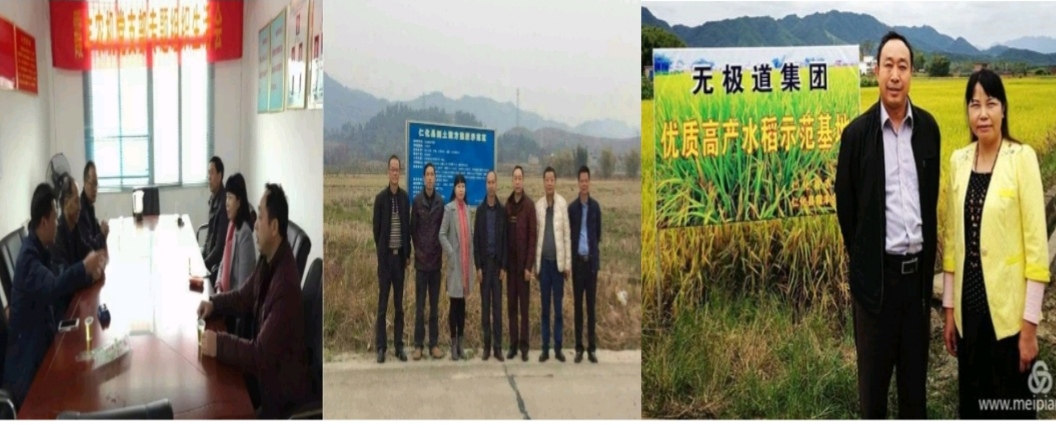 “硒”望发展功能性农业产业梦