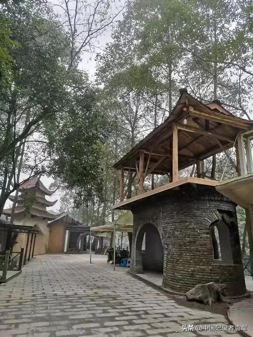 文章图片9