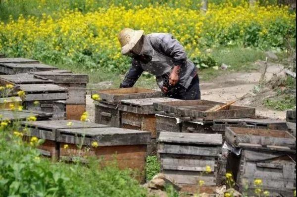 第十一届企业社会责任年度盛典|刘守英:企业家在乡村振兴中的作为
