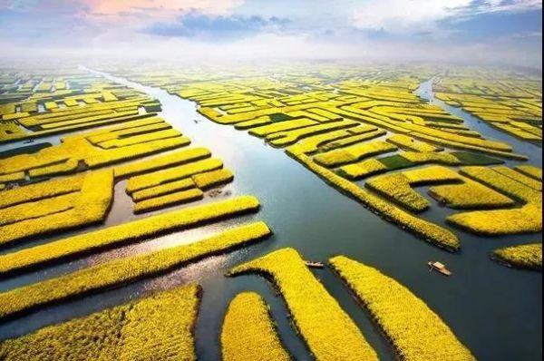 第十一届企业社会责任年度盛典|刘守英:企业家在乡村振兴中的作为