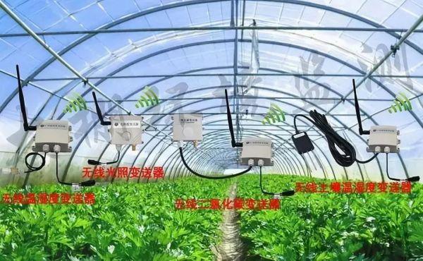 第十一届企业社会责任年度盛典|刘守英:企业家在乡村振兴中的作为