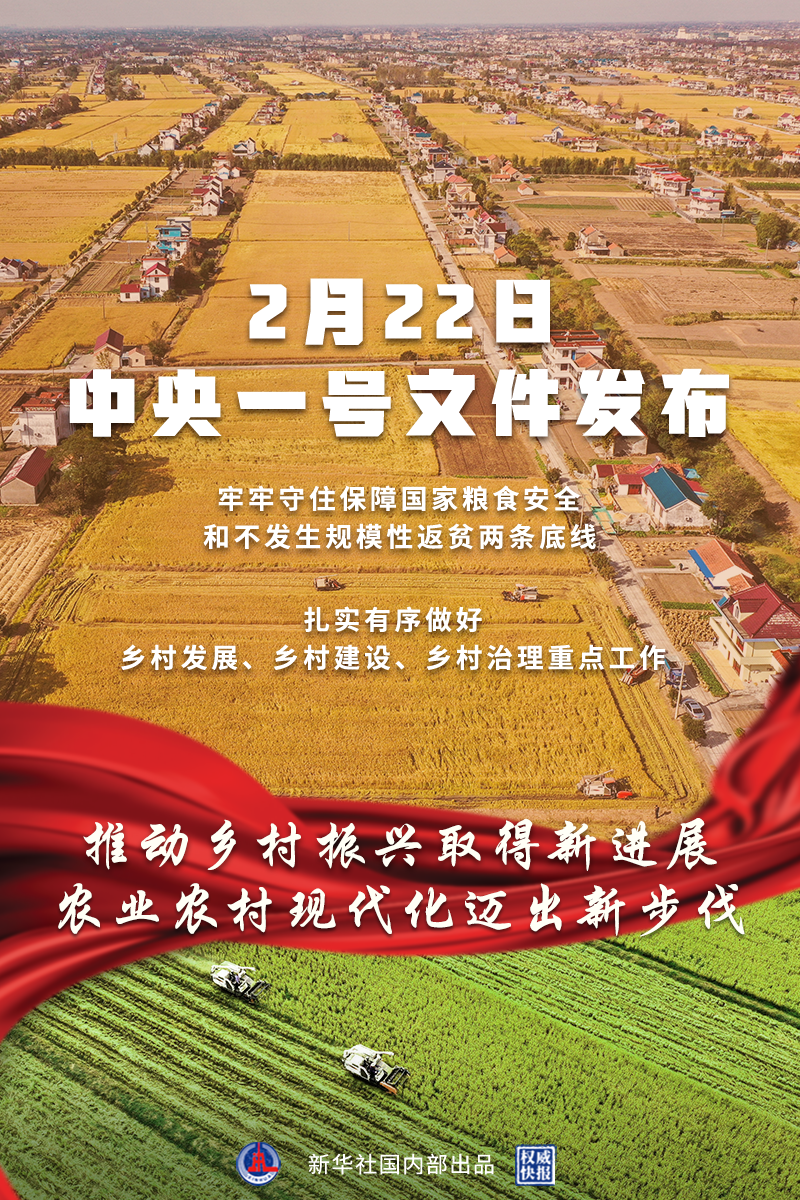 权威快报丨2022年中央一号文件提出推动乡村振兴取得新进展