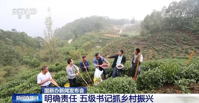 聚焦2022年乡村振兴|明确责任 五级书记抓乡村振兴 稳扎稳打推进