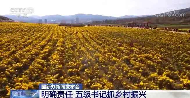 聚焦2022年乡村振兴|明确责任 五级书记抓乡村振兴 稳扎稳打推进