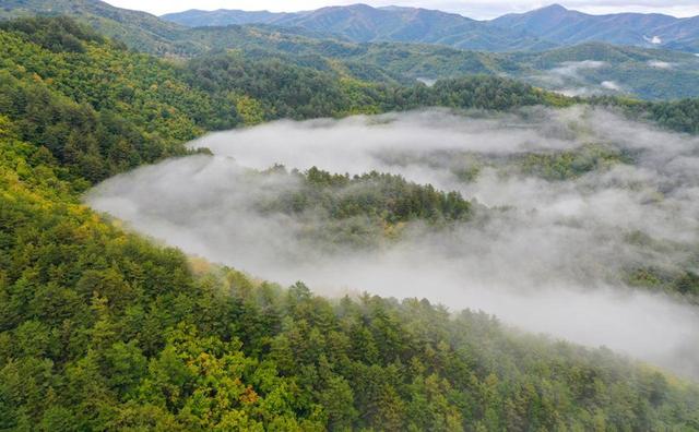 吉林省全民义务植树40年绘就绿水青山