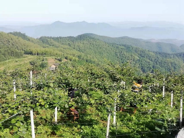 山下村:凝聚人心共筑梦 团结力量促发展