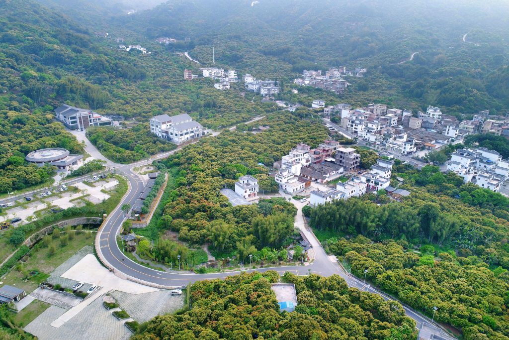 探索超大城市中的乡村振兴之路,广州从化再提速