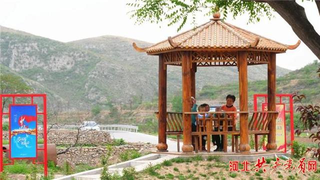河北磁县:苗木产业助力乡村振兴