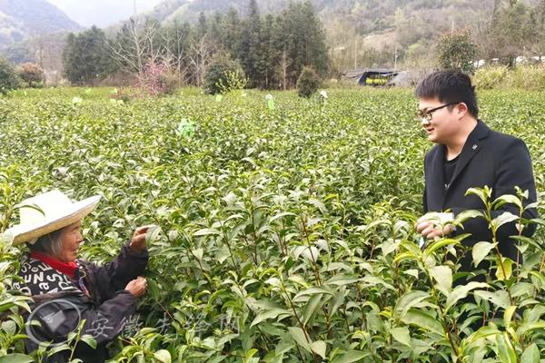 石台县:“四个一线”淬炼乡村选派尖兵