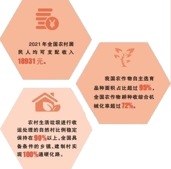 乡村振兴扎实推进:奏响“三农”发展新乐章