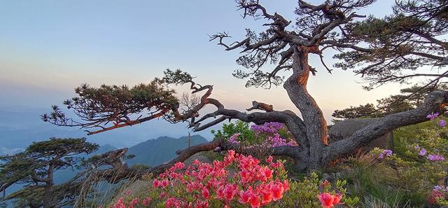 安徽石台:众里寻景千百度 尽在皖南第三峰