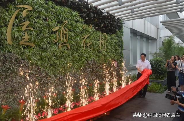 文章图片18