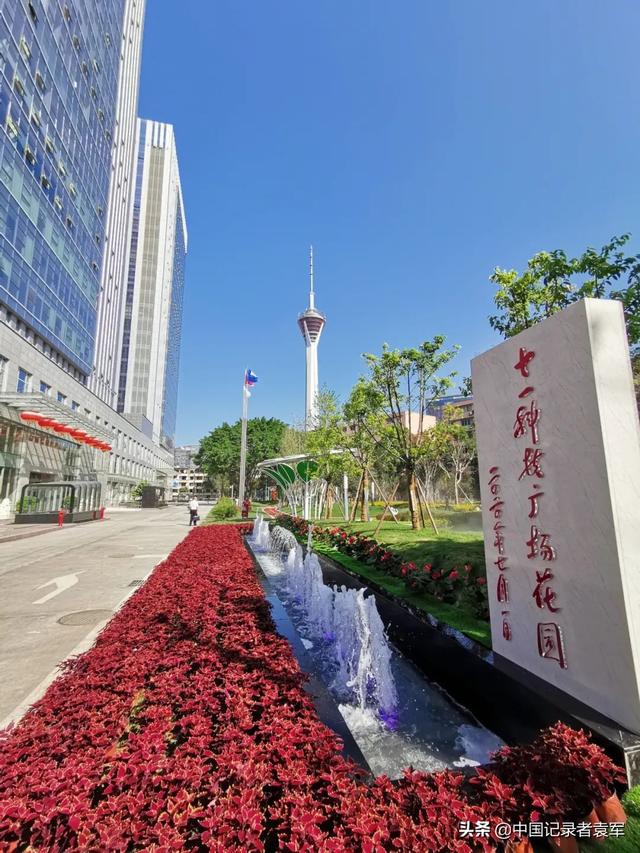 文章图片21