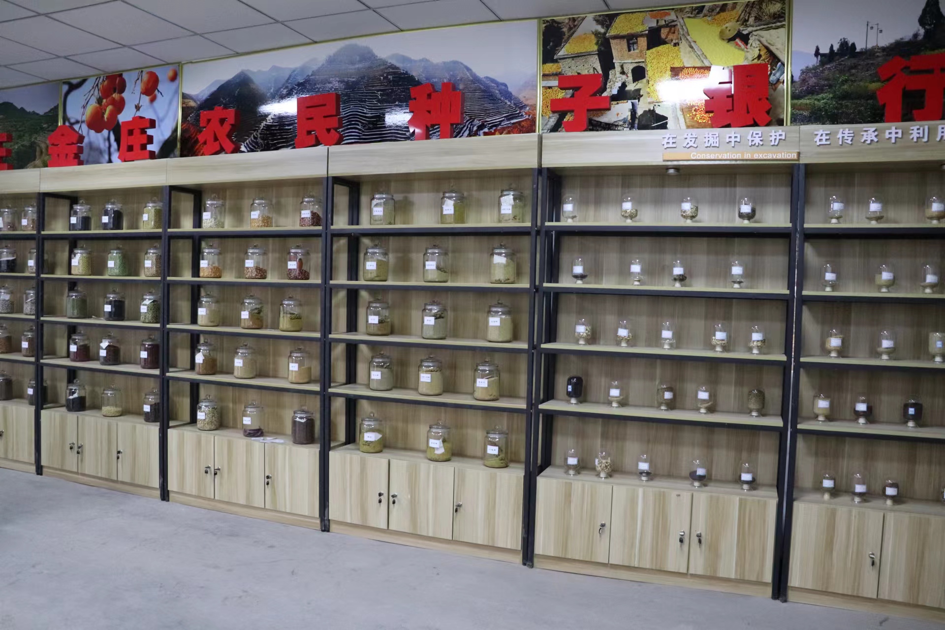 中国千年梯田茶园与草原 靠什么新登全球重要农业文化遗产?