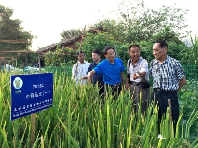 功能性农业.农业大健康发展 邓泗洲:“硒”望稻!
