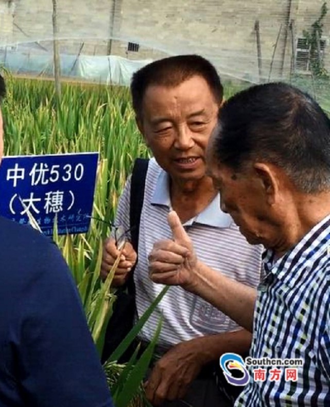 功能性农业.农业大健康发展 邓泗洲:“硒”望稻!