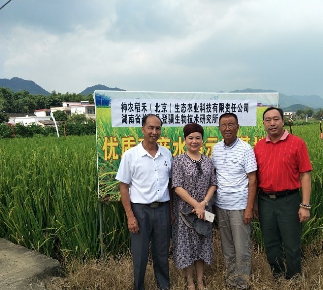 功能性农业.农业大健康发展 邓泗洲:“硒”望稻!