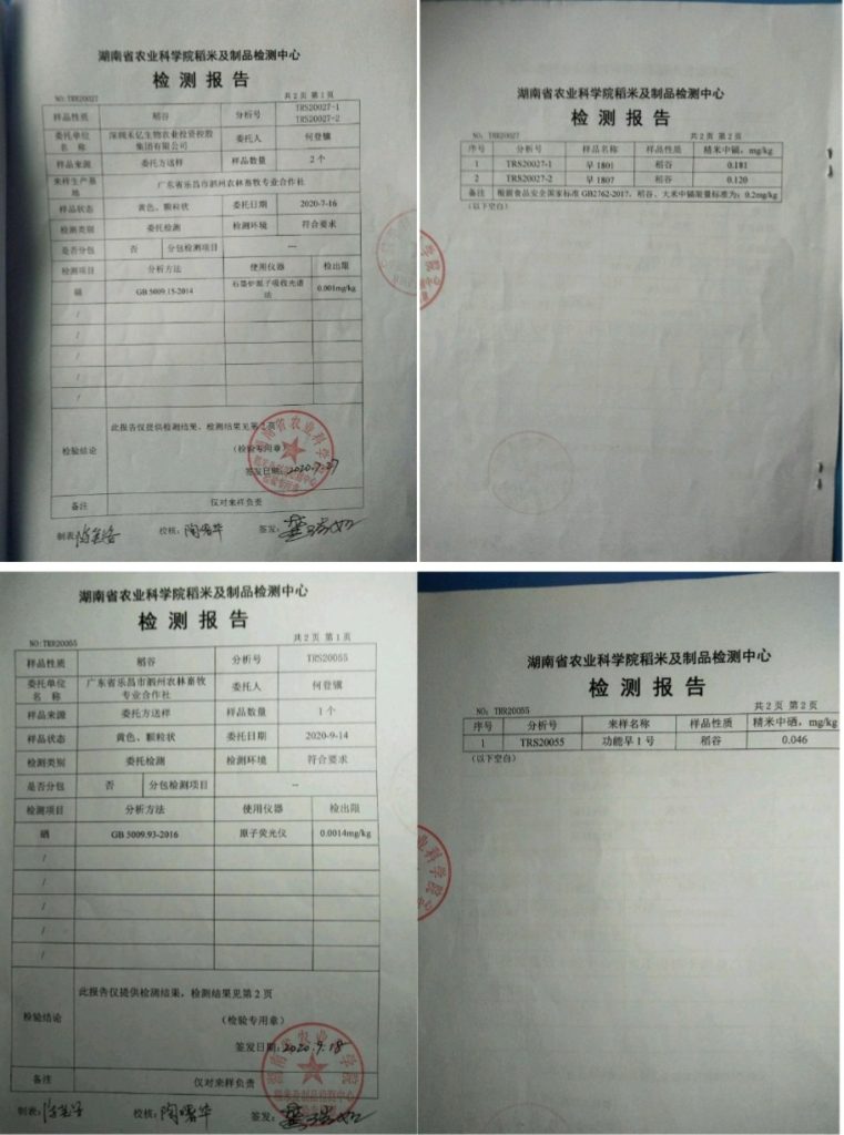 功能性农业.农业大健康发展 邓泗洲:“硒”望稻!