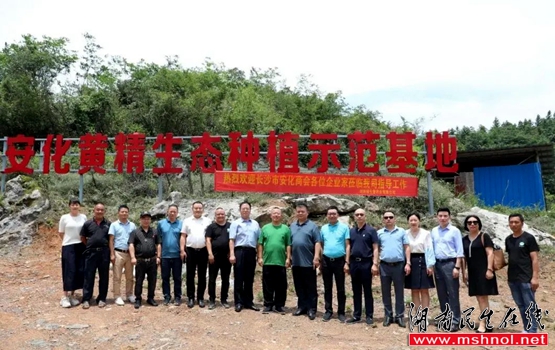 长沙市安化商会受邀参加第四届“湖南黄精”高峰论坛暨“安化黄精”推介会