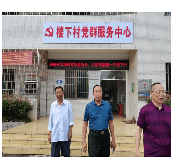 赋予大米新功能-邓泗洲:何登骥水稻新品系