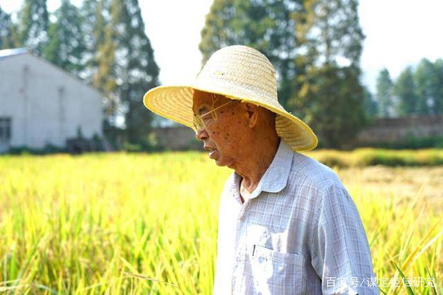 赋予大米新功能-邓泗洲:何登骥水稻新品系