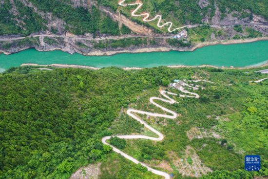 重庆万银村:发展山间果林种植带动村民致富