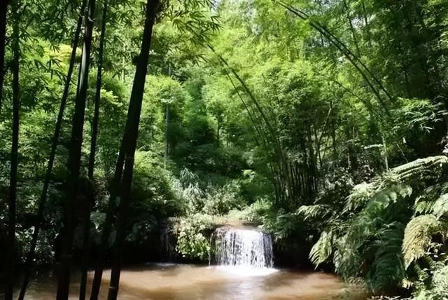 水竹相依!山水相融!世人只知蜀南有竹海!不闻兰州竹林沟!