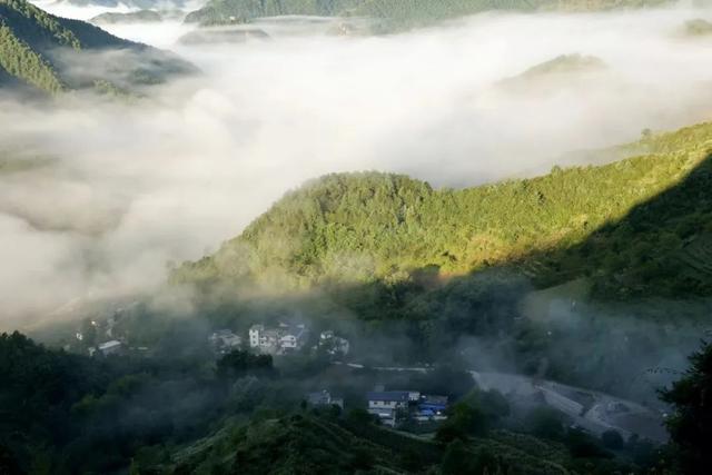 【央媒头条全球推介】|当夏天遇上云海!这样的仙气康县你爱了吗?
