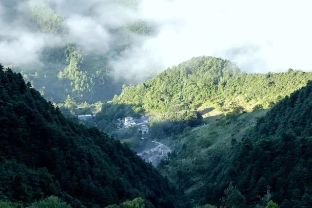 【央媒头条全球推介】|当夏天遇上云海!这样的仙气康县你爱了吗?