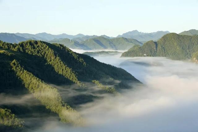 【央媒头条全球推介】|当夏天遇上云海!这样的仙气康县你爱了吗?