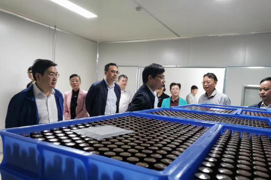 安徽省卫健委副主任吴振宇率队来旌德调研生命健康产业工作  考察海昭生物科技有限公司