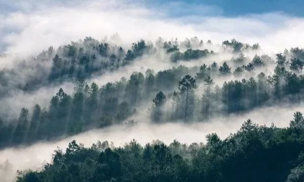 纵览巴国文化,去达州清凉一夏!