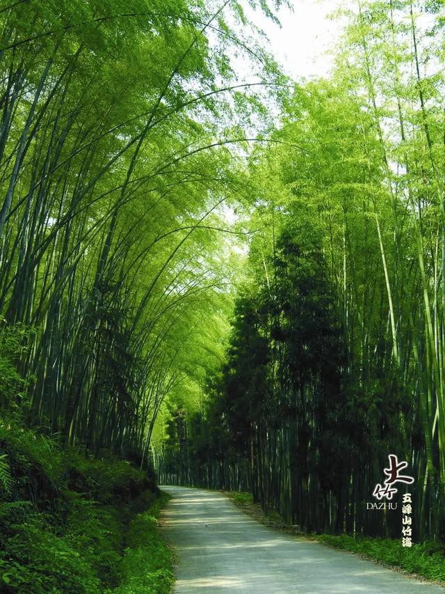 纵览巴国文化,去达州清凉一夏!