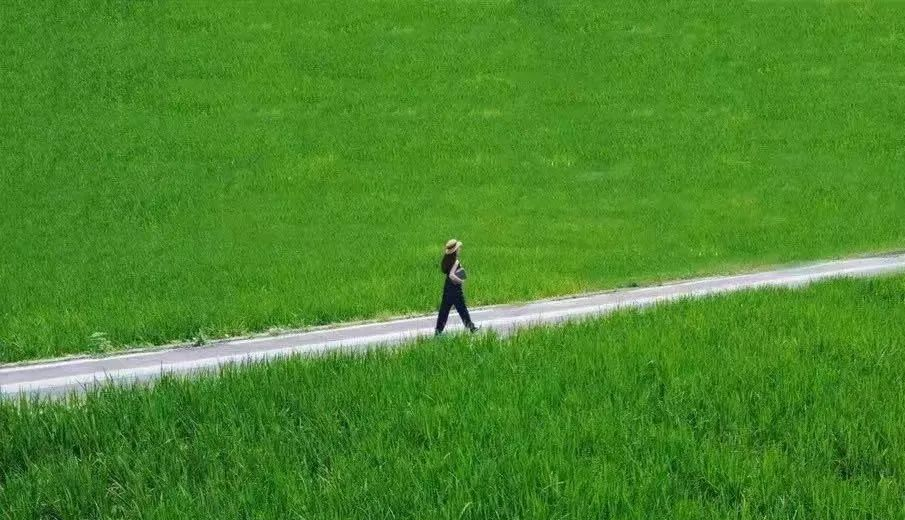 蝉鸣鸟啼的田园牧歌,藏在四川那抹绿色里!