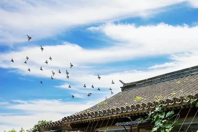瓦,慢慢蘇醒