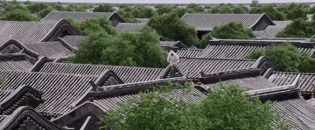 瓦,慢慢蘇醒