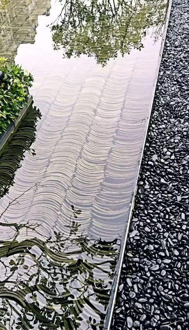 瓦,慢慢蘇醒