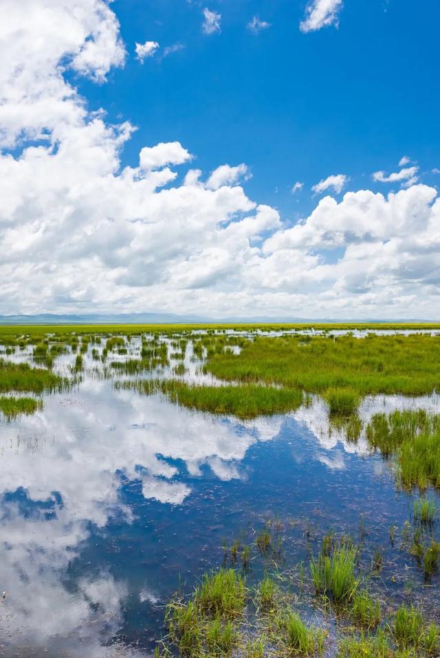 阿坝与甘南,谁打翻了我的调色盘
