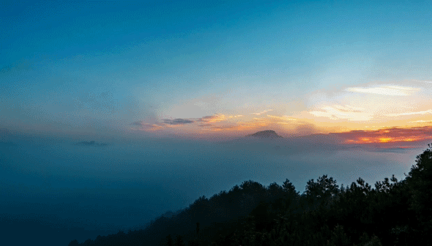 山水自在中国茶