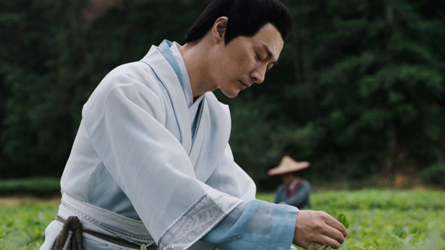 山水自在中国茶