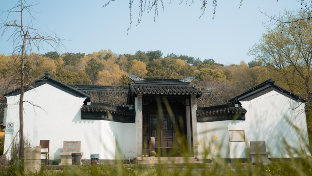 五大洲华裔齐聚太湖湾区,访大美鸿山!品吴韵风华! | “亲情中华•云游湖湾”无锡滨湖特色营系列报道之六