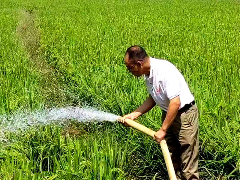 湖南新田:驻村工作队引水抗旱保丰收
