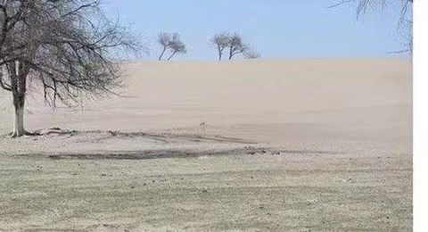 内蒙古正蓝旗:十年谱华章 奋力再出发