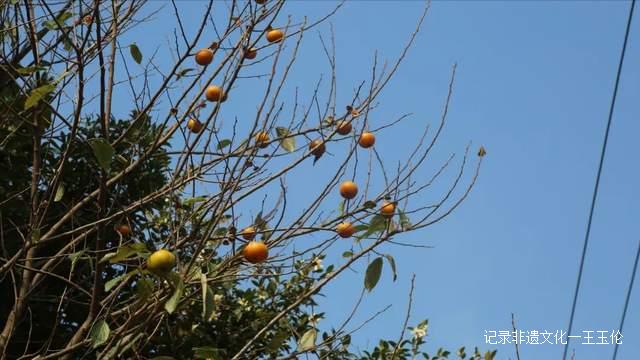 这个秋天，以“纸”为媒，青曼研究院带你探寻非遗文化记忆
