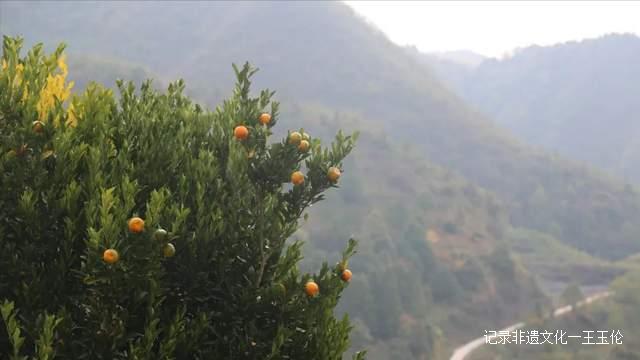 这个秋天，以“纸”为媒，青曼研究院带你探寻非遗文化记忆