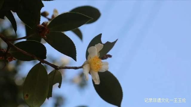 这个秋天，以“纸”为媒，青曼研究院带你探寻非遗文化记忆