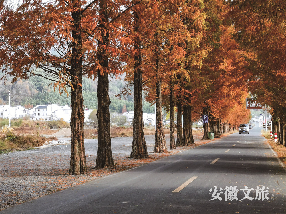 安徽黄山:世界遗产旅游风景道,风雅至极生奇韵